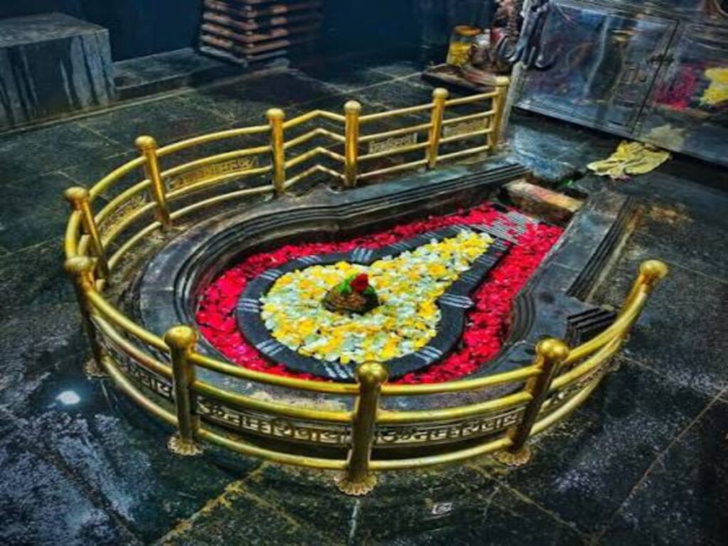 shivling pooja bhimashankar temple pune